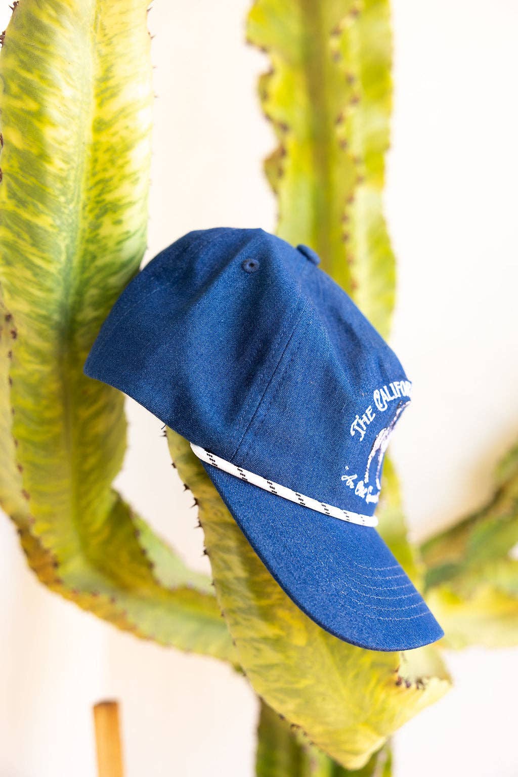 The California Vaquero Hat